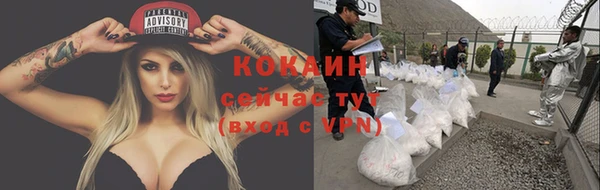 прущие крисы Абаза